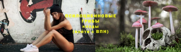 герыч Алексин