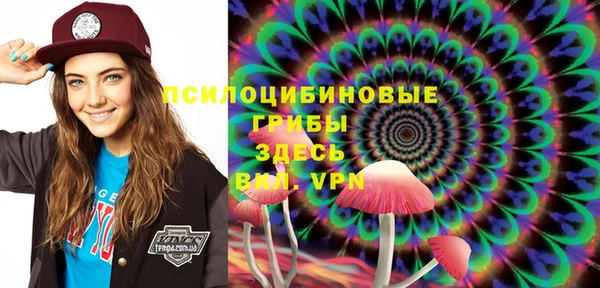 сатива Алексеевка