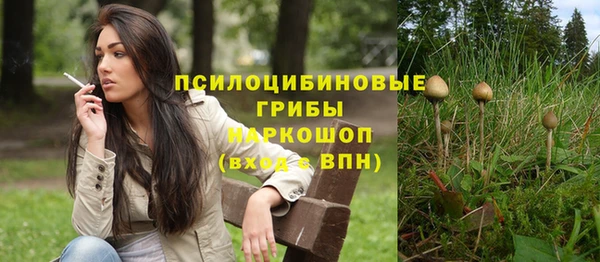 сатива Алексеевка