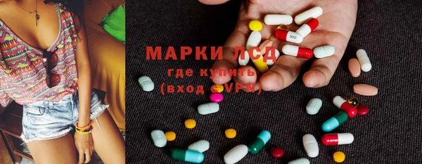 сатива Алексеевка